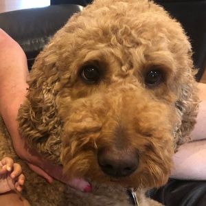 Meet your Posher, Aurora